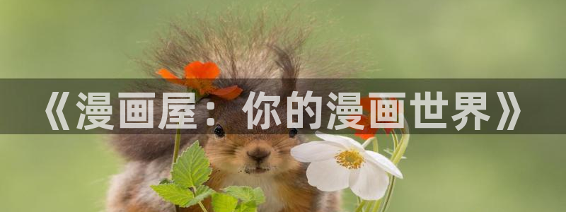 漫画免费看漫画推荐大全