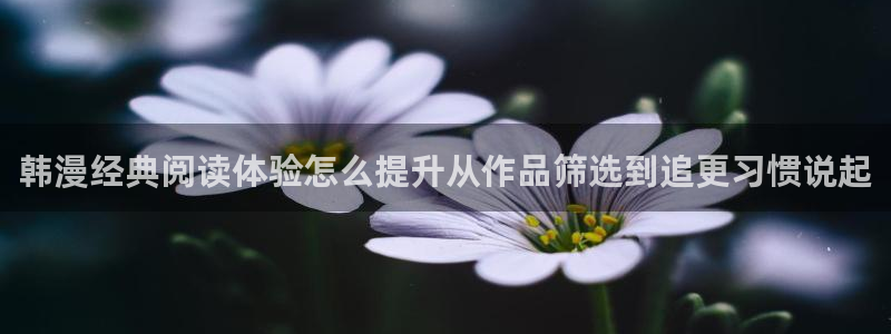 漫画免费看最新网址